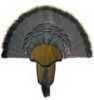 Hunter Specialties Turkey Tail & Beard Mounting Kit